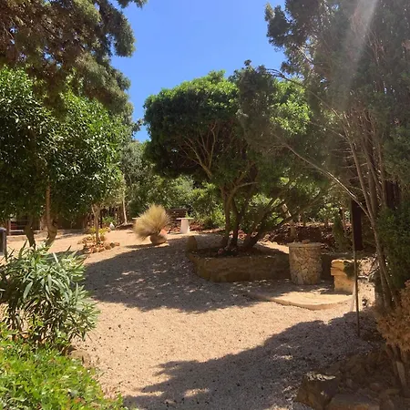 Quinta Falzina Luz
