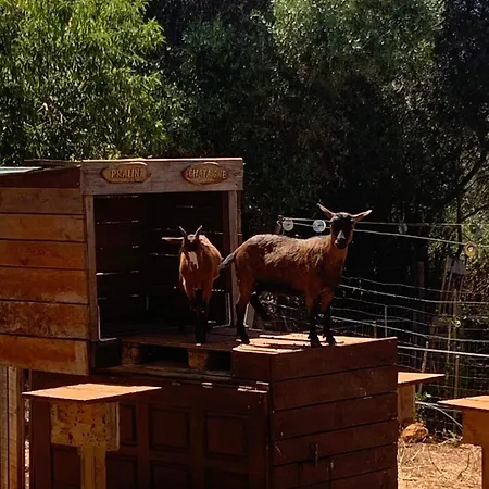 Quinta Falzina Εξοχικό σπίτι