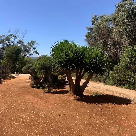 Gospodarstwo wiejskie Quinta Falzina Praia Da Luz