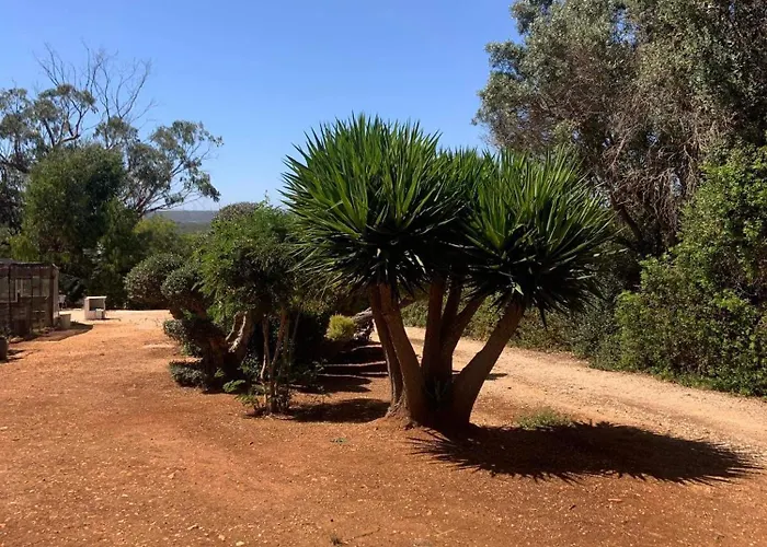 Country house Quinta Falzina Praia Da Luz