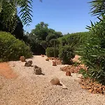 Quinta Falzina *