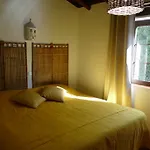 Quinta Falzina Luz