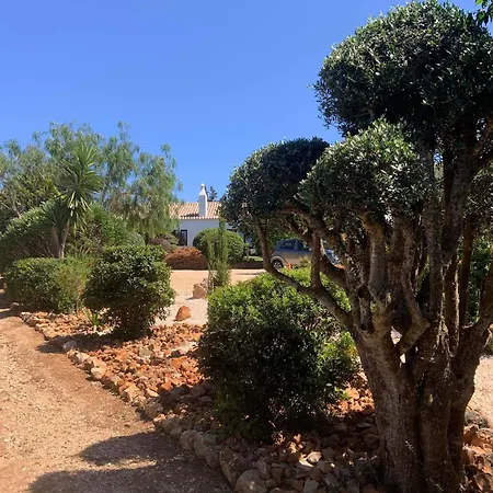 Quinta Falzina Luz