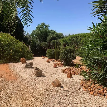 Quinta Falzina *