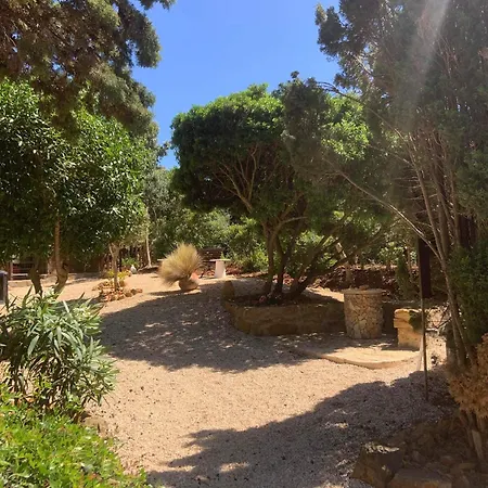 Quinta Falzina Luz