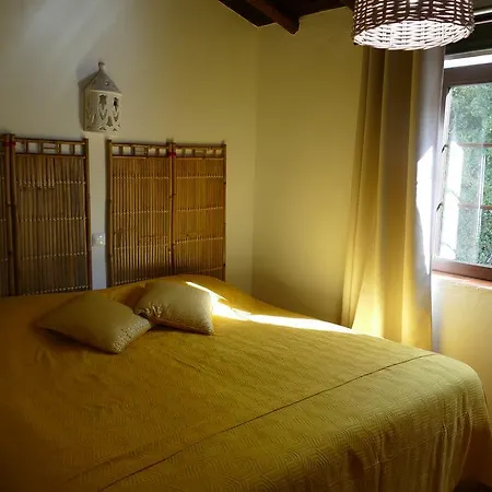 Quinta Falzina Luz